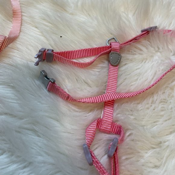 2 Flexi cat retractable leashes and 2 Med-Large Signature by Aspen Cat harness - Picture 3 of 8